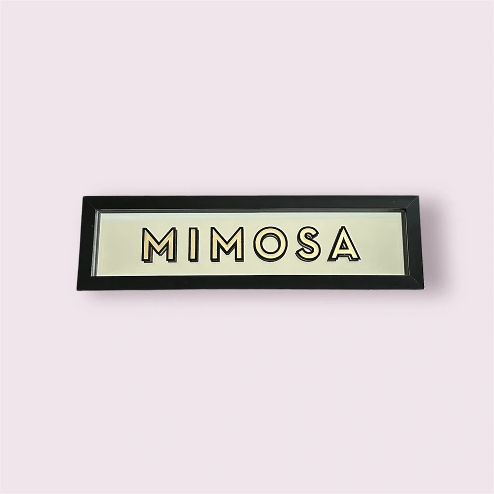 Z Gallerie Mirrored ‘Mimosa’ Framed Wall Art Decorative Home Accent Sign 25x7”